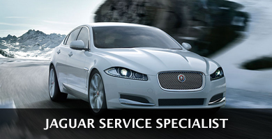 Jaguar Service Specialist